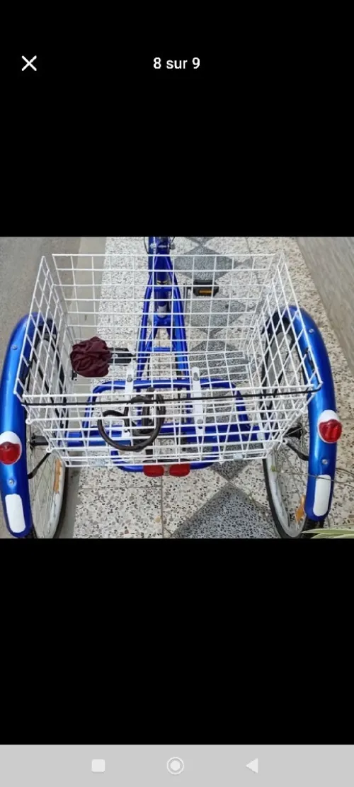 Tricycle classique adulte