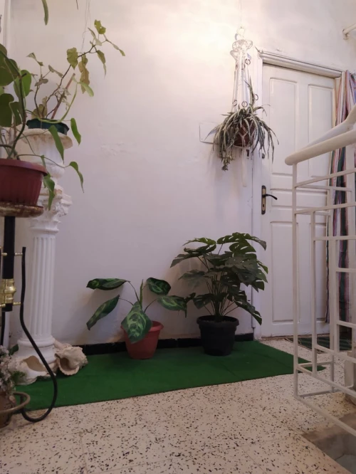 Vente Villa Blida Blida