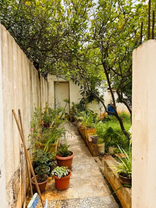 Vente Villa Alger Birkhadem 25
