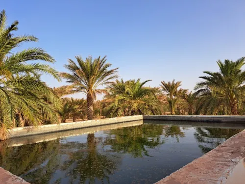 Vente bien immobilier Ghardaïa Dhayet bendhahoua