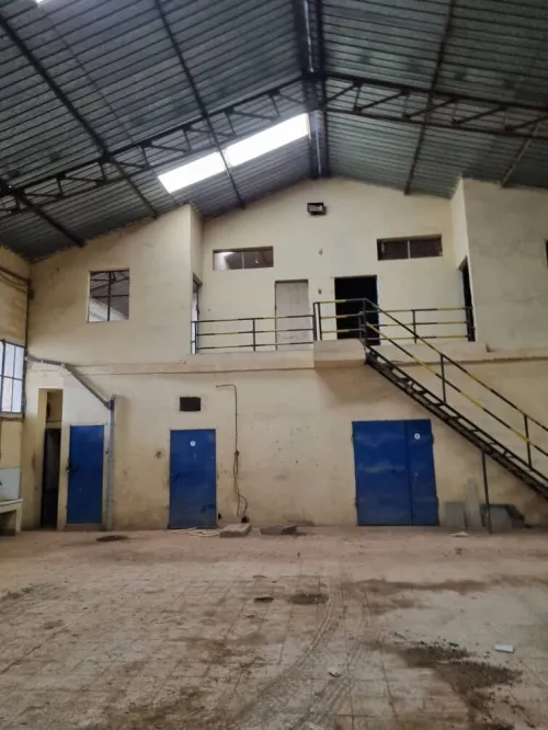 Vente Hangar Saïda Ain el hadjar
