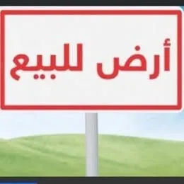Vente Terrain Béchar Bechar