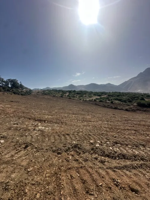 Vente Terrain Boumerdès Keddara