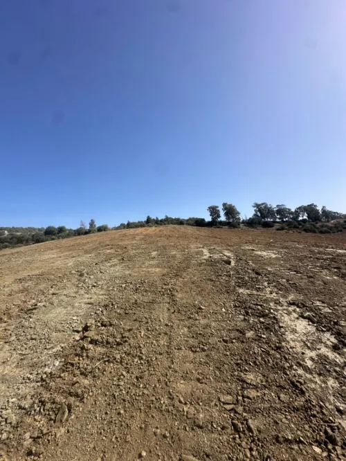 Vente Terrain Boumerdès Keddara