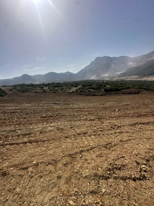 Vente Terrain Boumerdès Keddara