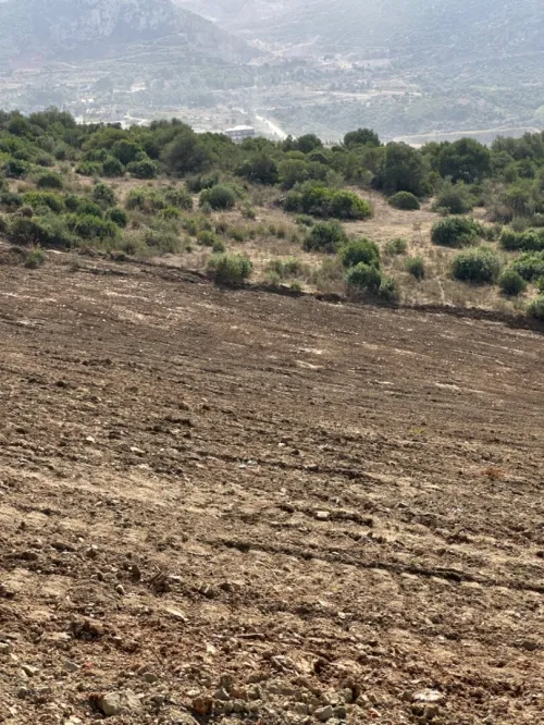 Vente Terrain Boumerdès Keddara