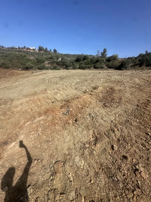 Vente Terrain Boumerdès Keddara