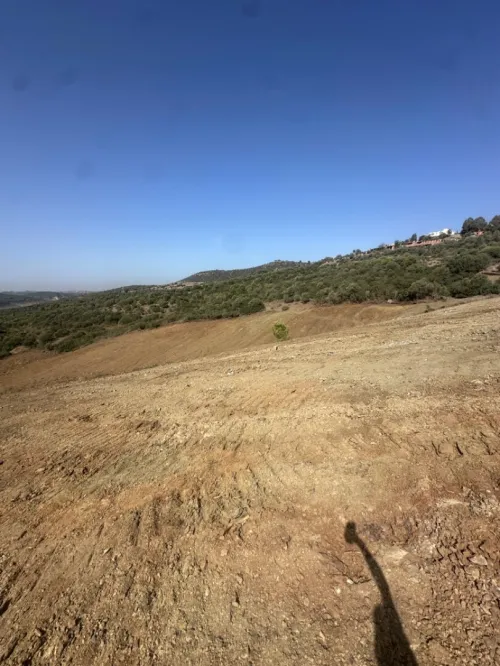 Vente Terrain Boumerdès Keddara