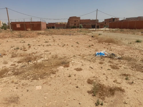 Vente Terrain Saïda Youb 2