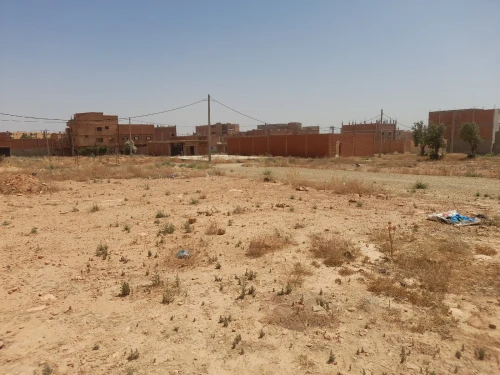 Vente Terrain Saïda Youb 6