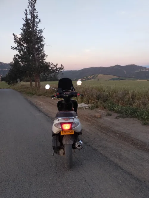 Honda Elite 2010