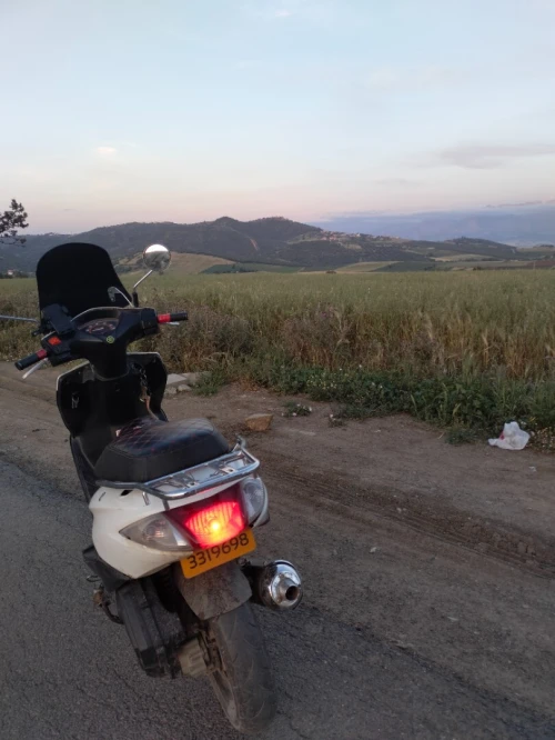 Honda Elite 2010