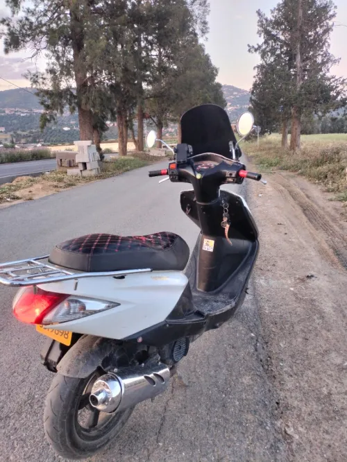 Honda Elite 2010