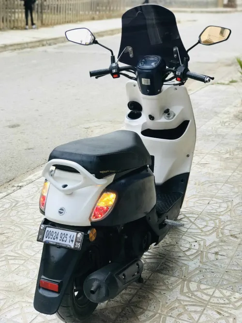 Cuxi Linhai 110 2025