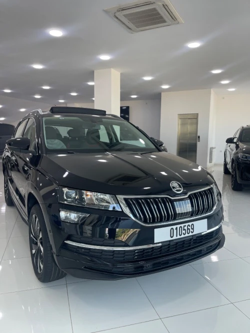 Skoda Karoq 2025 