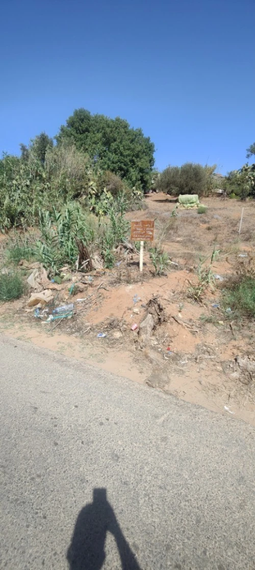 Vente Terrain Mostaganem Ain boudinar