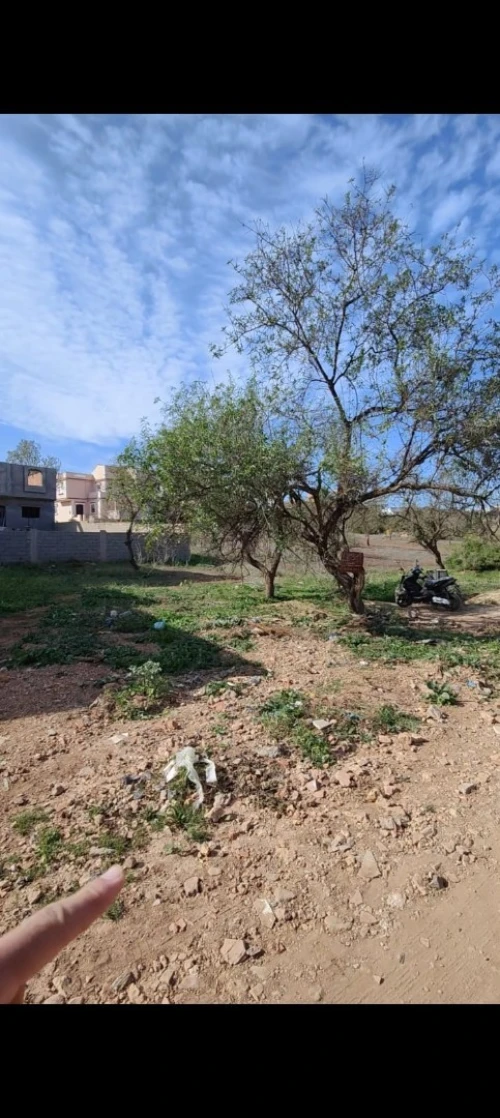 Vente Terrain Tlemcen Nedroma