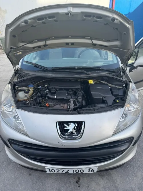 Peugeot 207 2008 207
