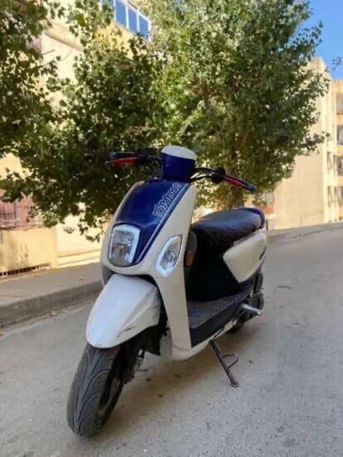 VMS Cuxi 2 2021