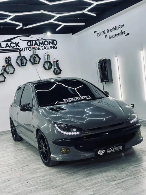 Peugeot 206 2002 GTI