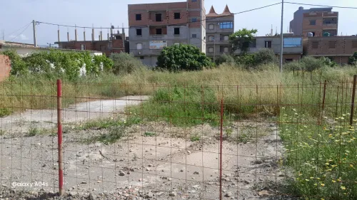 Vente Terrain Alger Sidi moussa