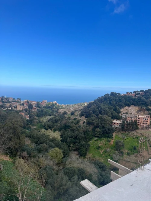 Vente Appartement F3 Alger Bouzareah
