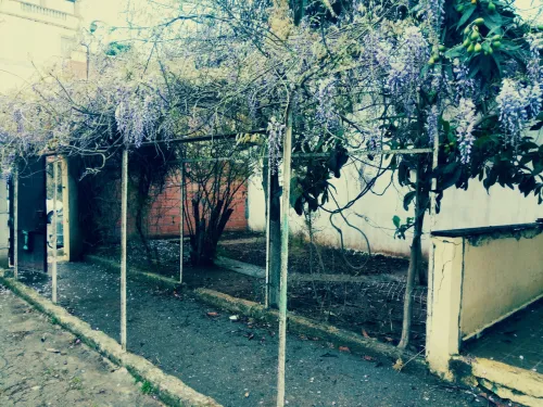 Vente Villa Alger Mohammadia