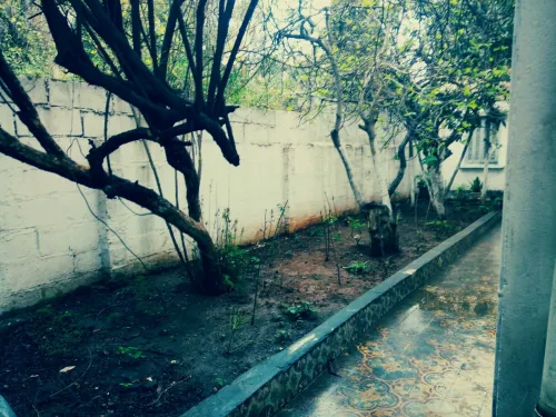 Vente Villa Alger Mohammadia