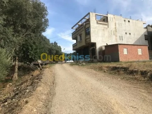 Vente Terrain Blida Bougara