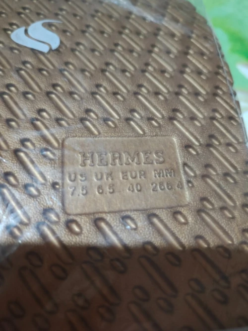 Bligha hermes