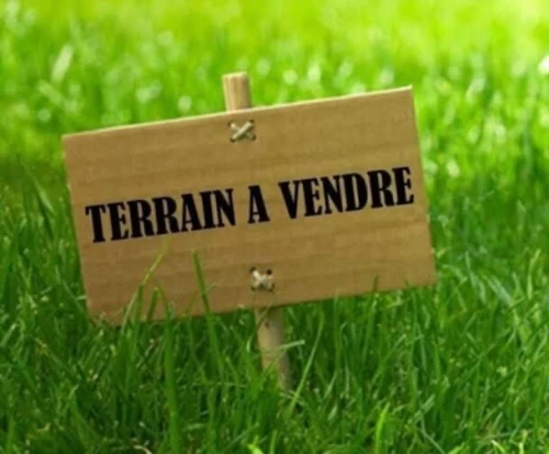 Vente Terrain Blida Chebli