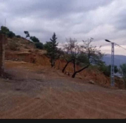Vente Terrain Béjaïa Ighil ali