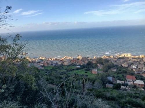 Vente Tipaza Tipaza