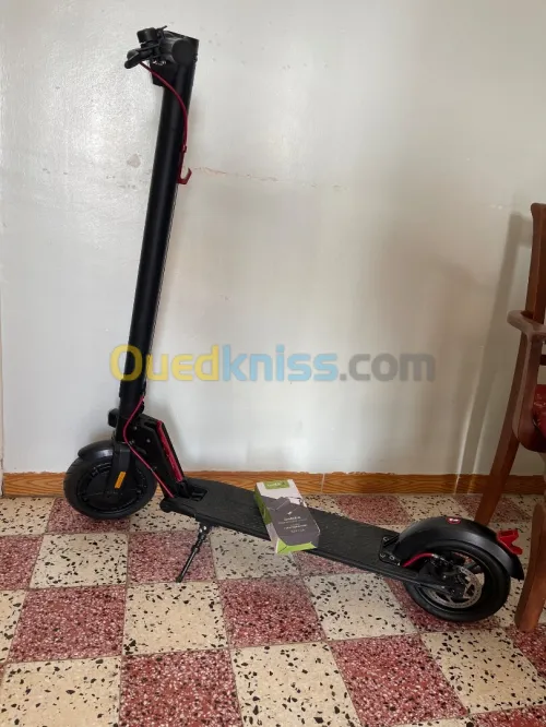 Scooter Scooter 2024