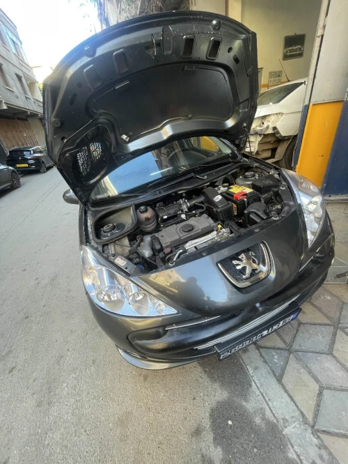 Peugeot 206 Plus 2013 206 Plus