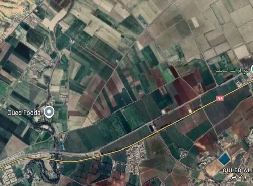 Location Terrain Agricole Chlef Oued fodda