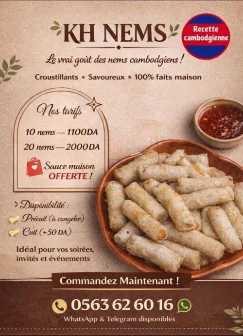 Nems au poulet fais maison 100% asiatique