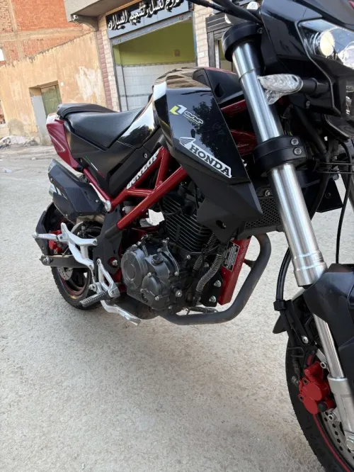 Benneli 135 Benneli 2020