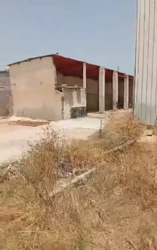 Vente Hangar - Usine Annaba Ain berda
