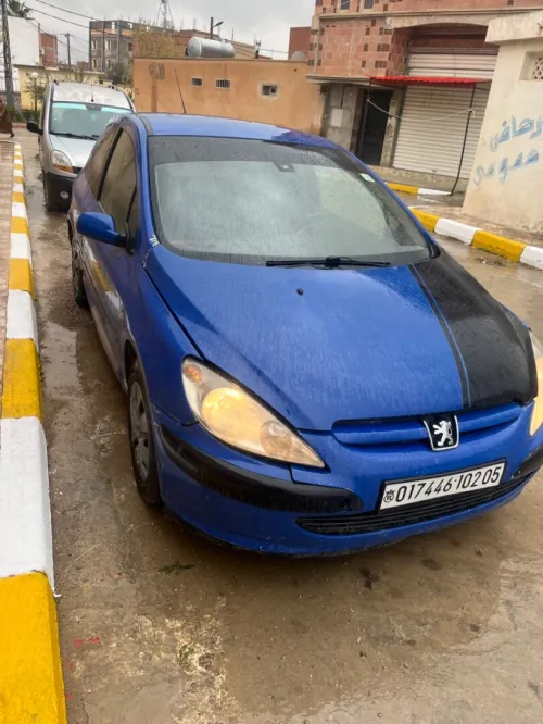 Peugeot 307 2002 307