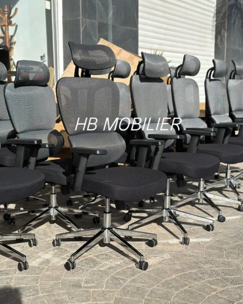 Chaise ergonomique 