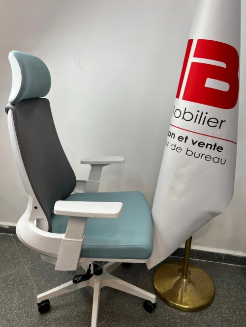 Chaise ergonomique