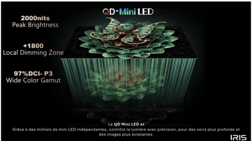 TV IRIS 65" QD MINI LED S9800 GOOGLE TV 144 Hz OMNIVIEW MEMC VRR ALLM 4k UHD ANDROID 14 + BARRE DE SON INTEGRÉE