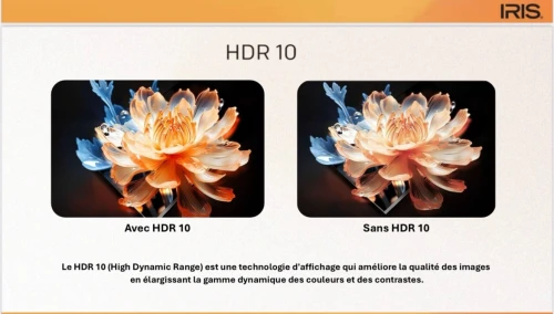 IRIS 60" QLED+ Q7020 GOOGLE TV 4K 120 HZ UHD SMART ANDROID 14 60 pouces