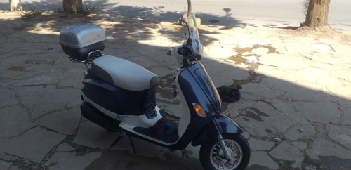 As motors Roma s 2019