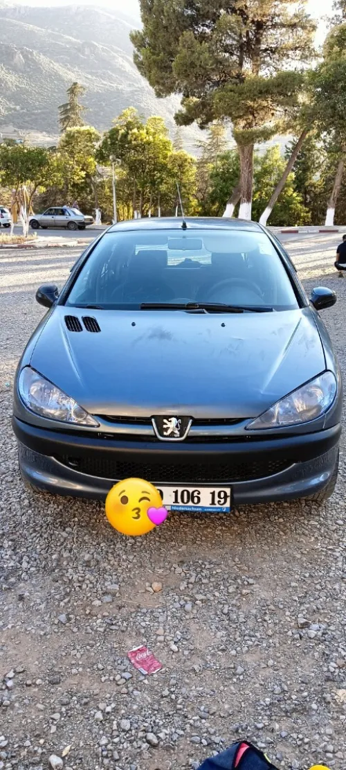Peugeot 206 2006 La base avec Gpl et condamnation