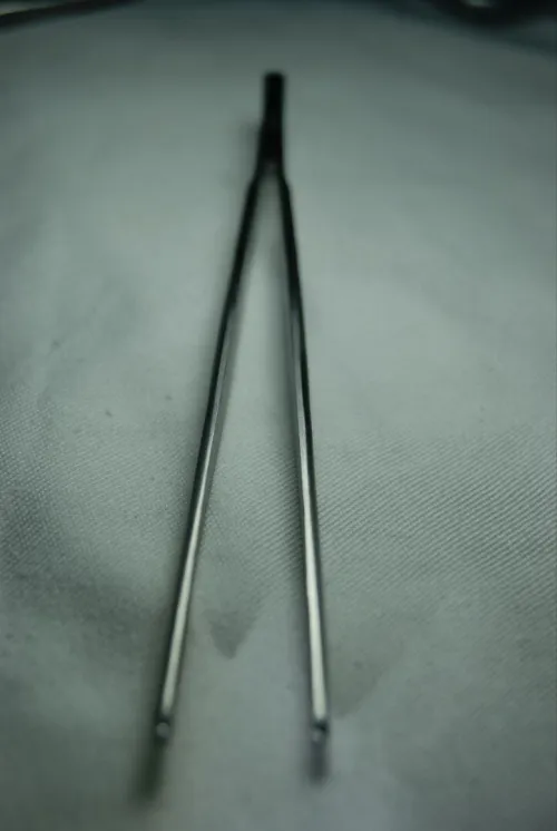 Pince à dissection