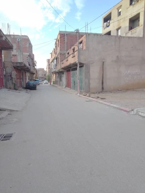 Vente Terrain Alger Reghaia