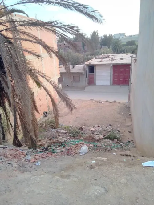 Vente Terrain Alger Reghaia
