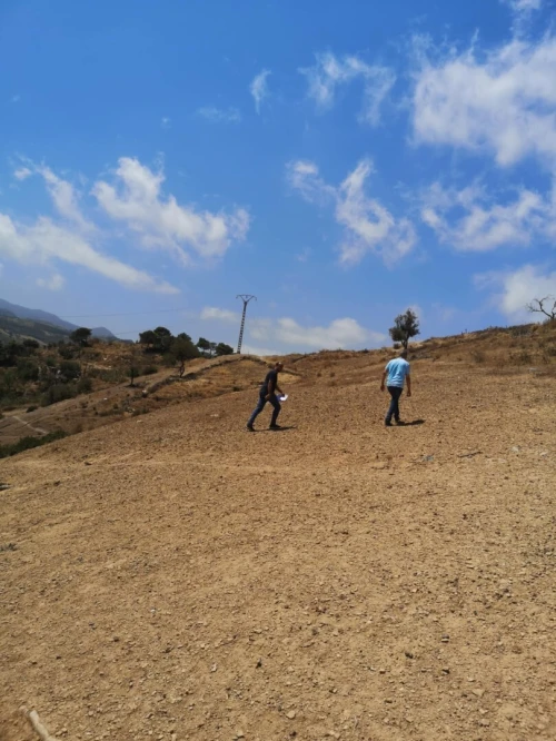 Vente Terrain Tipaza Gouraya